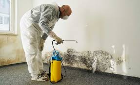 Best Industrial Mold Remediation  in Glenview, IL